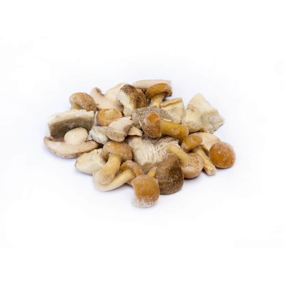 G.MIXTO DE SETAS CON BOLETUS CONG. 1 KG. G.MIXTO DE SETAS CON BOLETUS CONG. 1 KG.