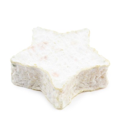 ETOILE DE GATINE NU L.C.120 GR ETOILE DE GATINE NU L.C.120 GR