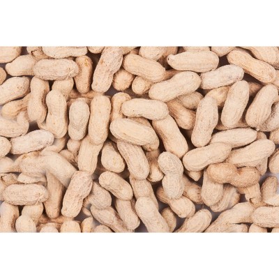 CACAHUETE CASCARA CON SAL 3KGTOSTADO