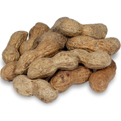 SACO CACAHUETE TOSTADO CASCARA SIN SAL 3 KG