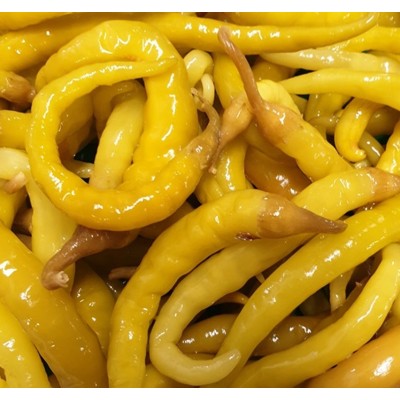 GUINDILLA VASCA GALON AMH