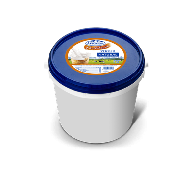 ASTURIANA YOGUR NATURAL HOST. 5 KG