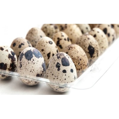 HUEVOS CODORNIZ PACK 12 UNIDADES